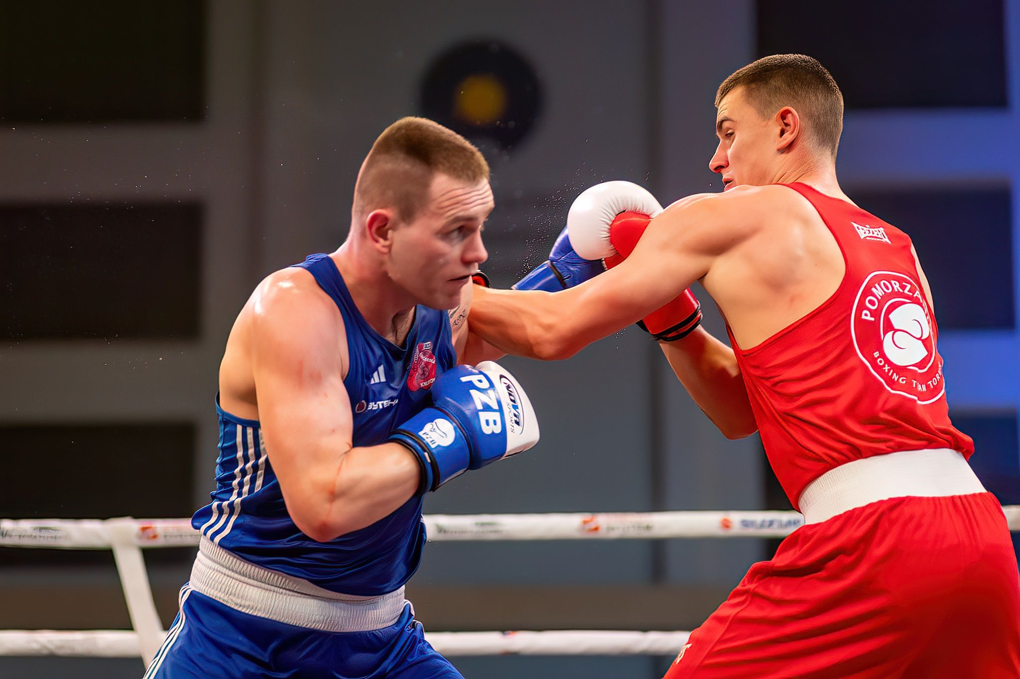 Pomorzanin Boxing Team - Concordia Knurów