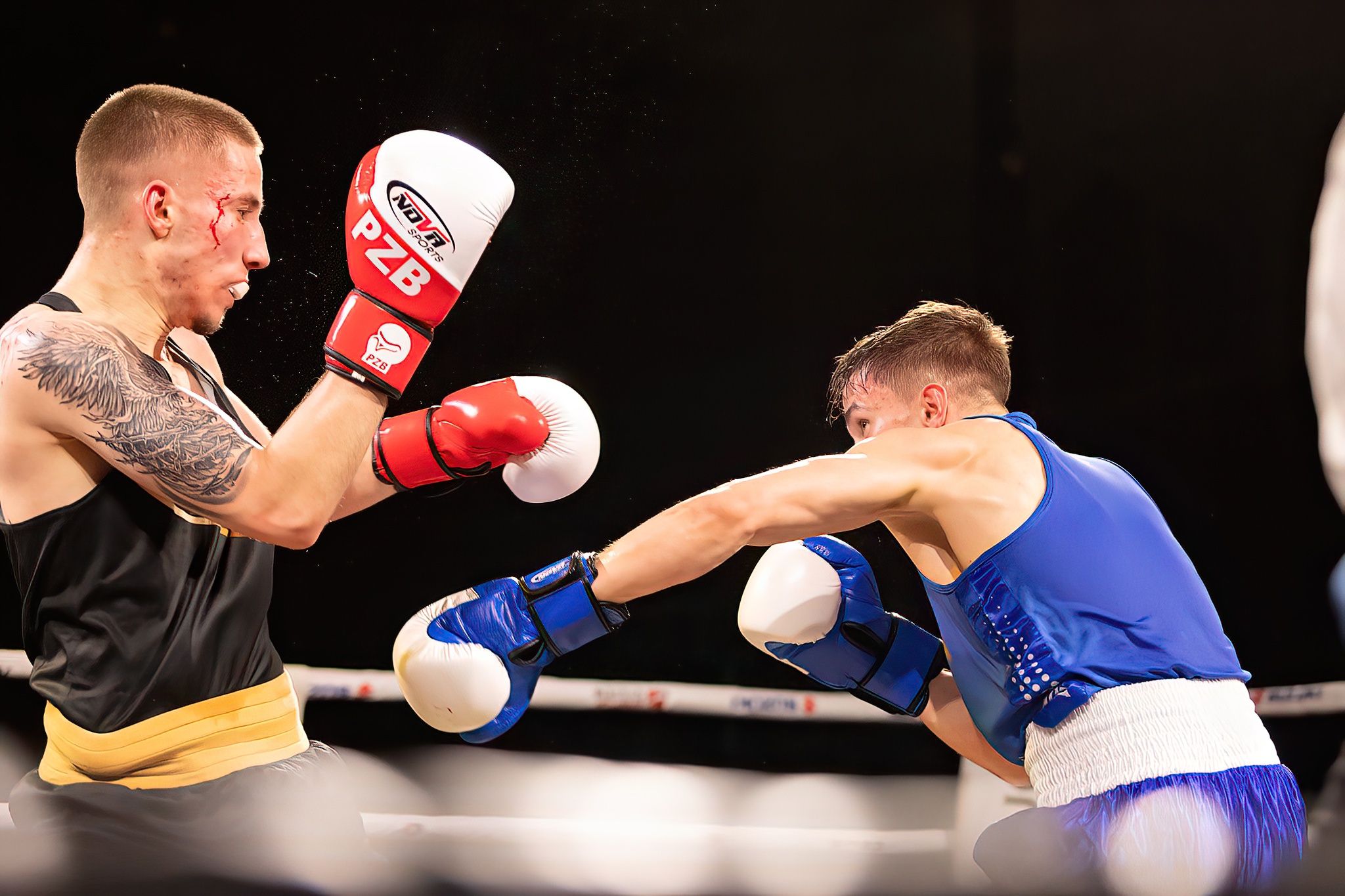 Polska Liga Boksu Pomorzanin Boxing Team - Imperium Wałbrzych