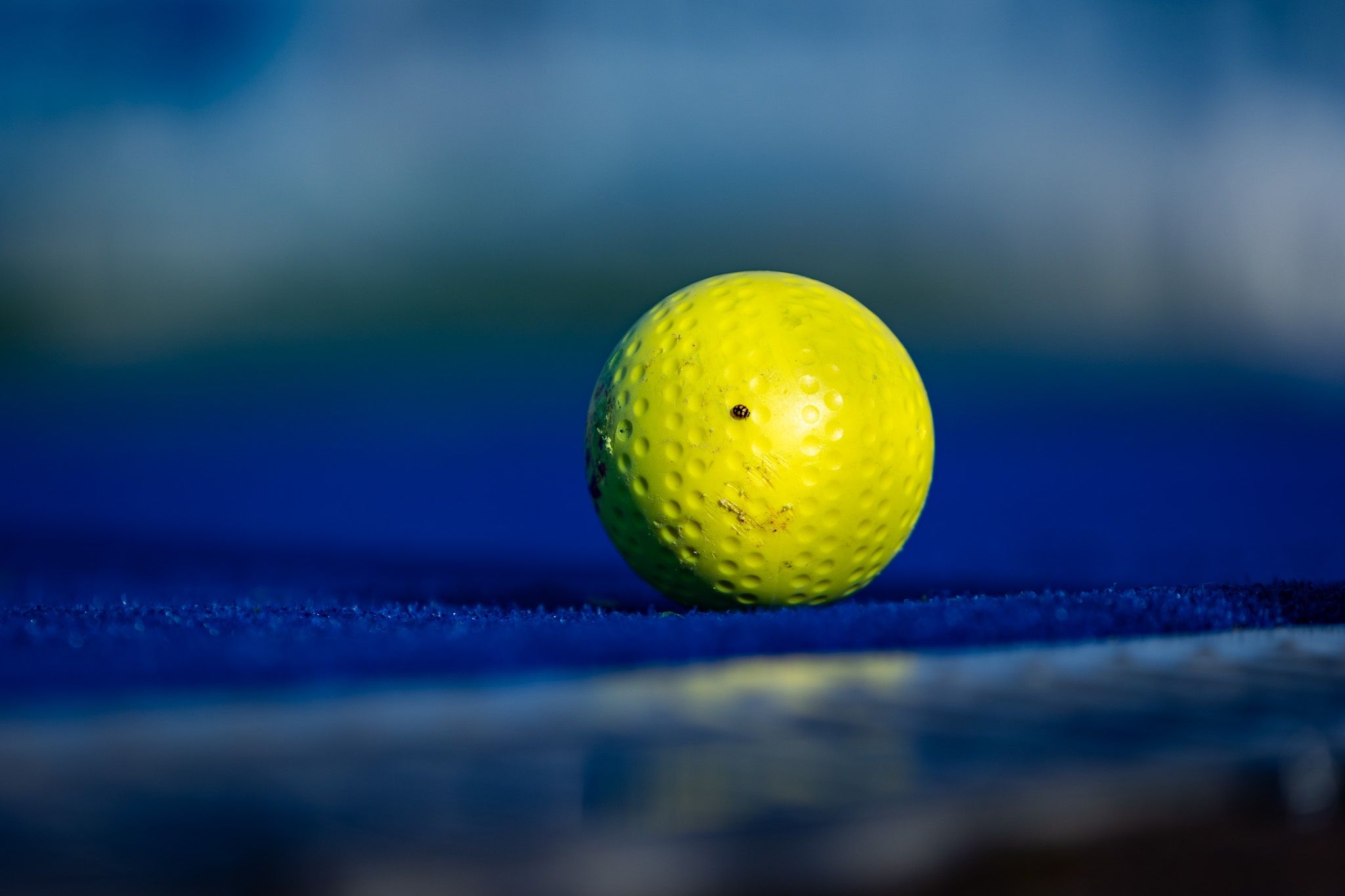 HK Rustico Pomorzanin - Grunwald