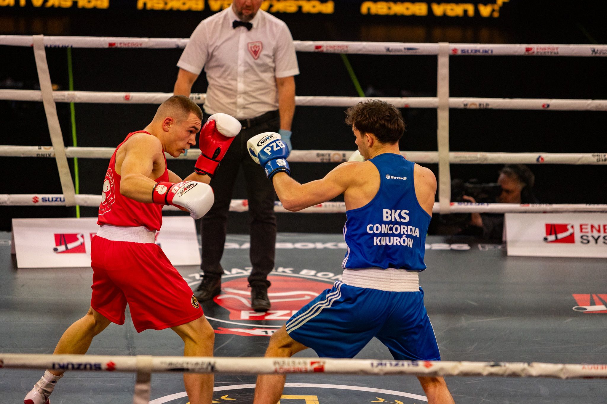 Pomorzanin Boxing Team - Concordia Knurów