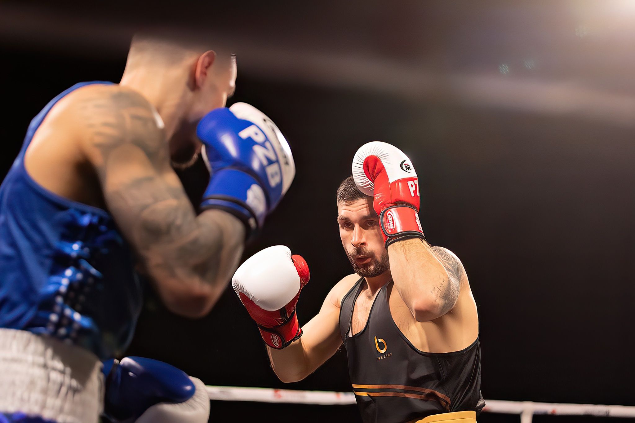 Polska Liga Boksu Pomorzanin Boxing Team - Imperium Wałbrzych