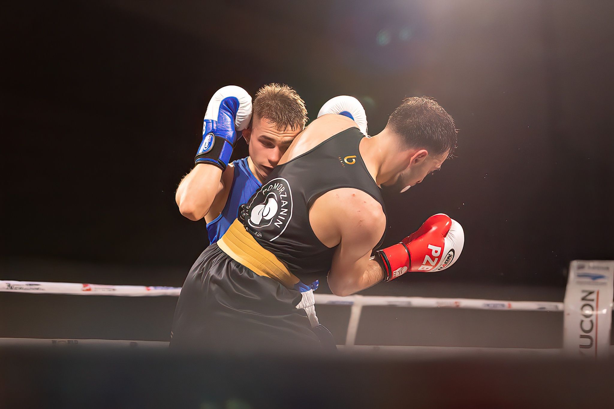 Polska Liga Boksu Pomorzanin Boxing Team - Imperium Wałbrzych