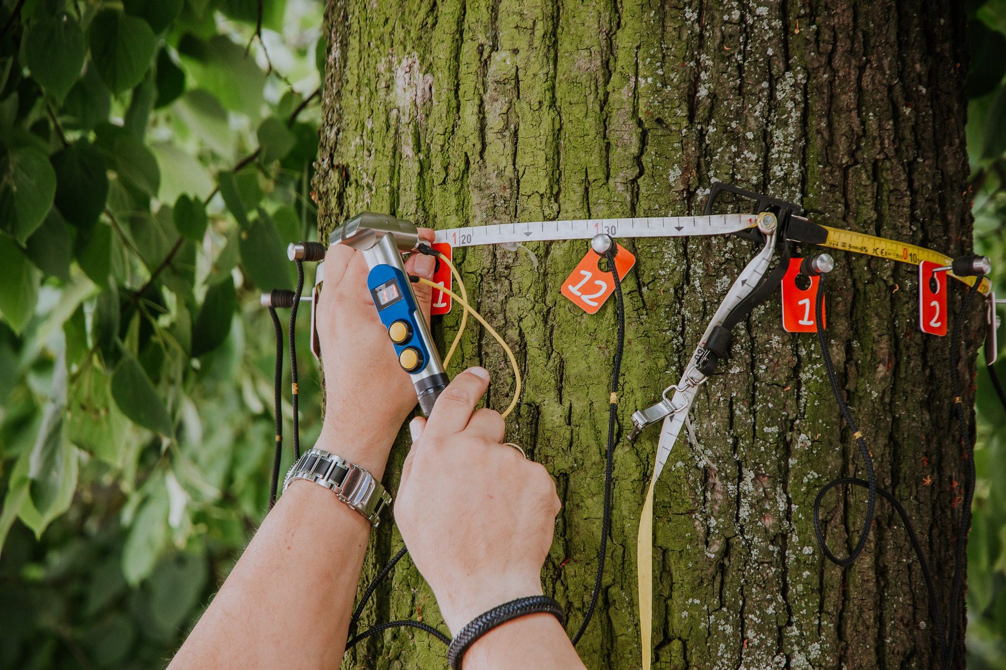 Zespol ds. Medialnych