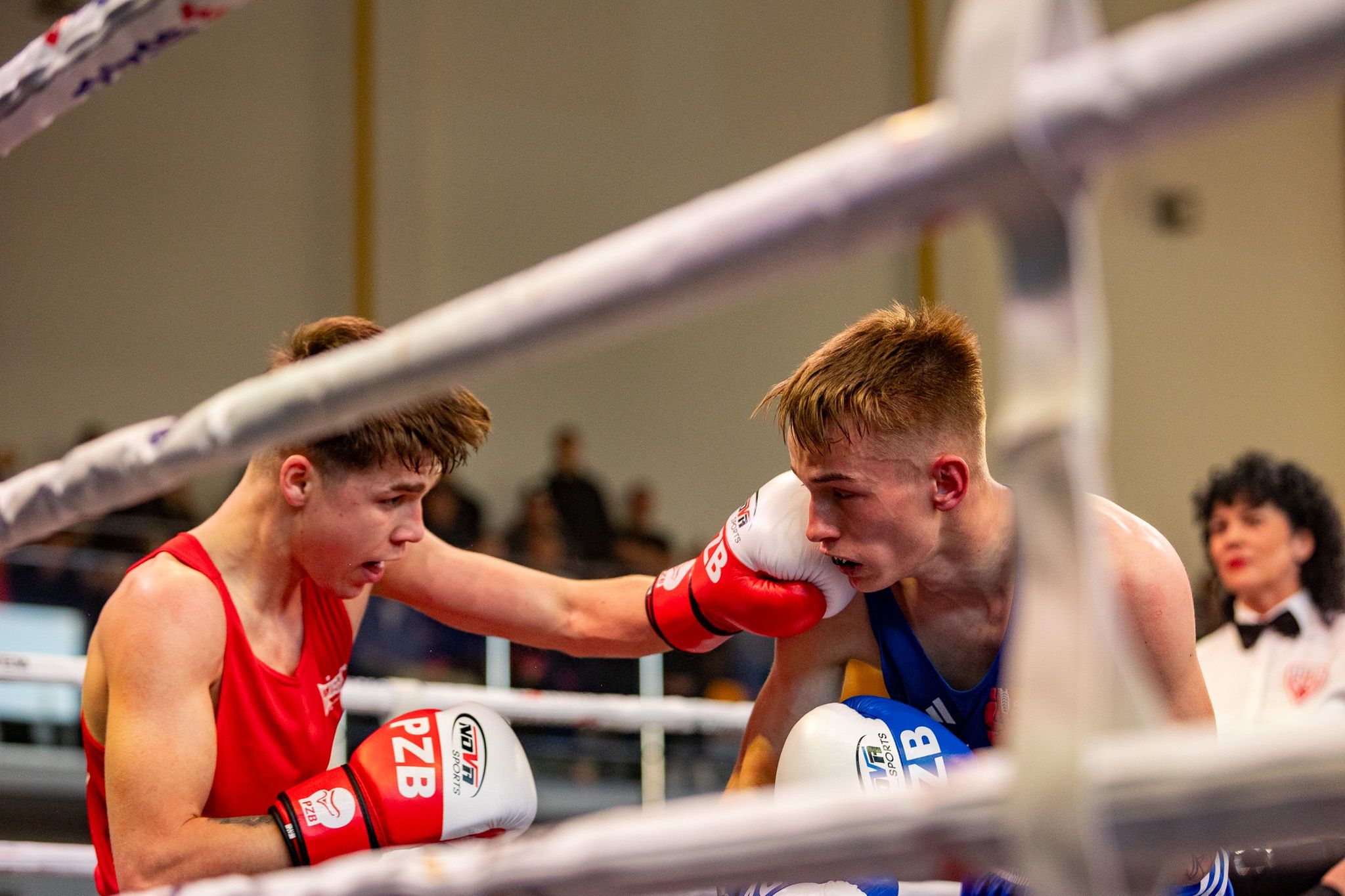 Pomorzanin Boxing Team - Concordia Knurów