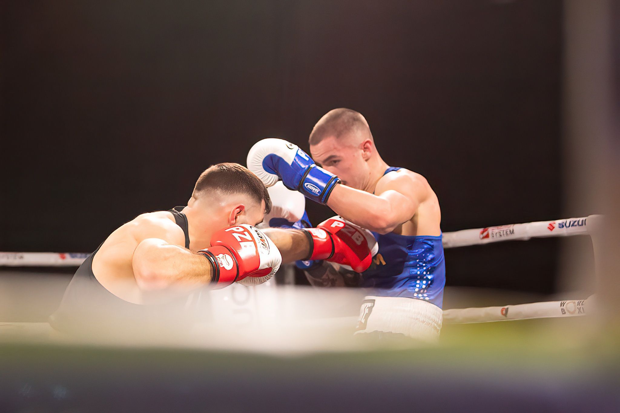 Polska Liga Boksu Pomorzanin Boxing Team - Imperium Wałbrzych