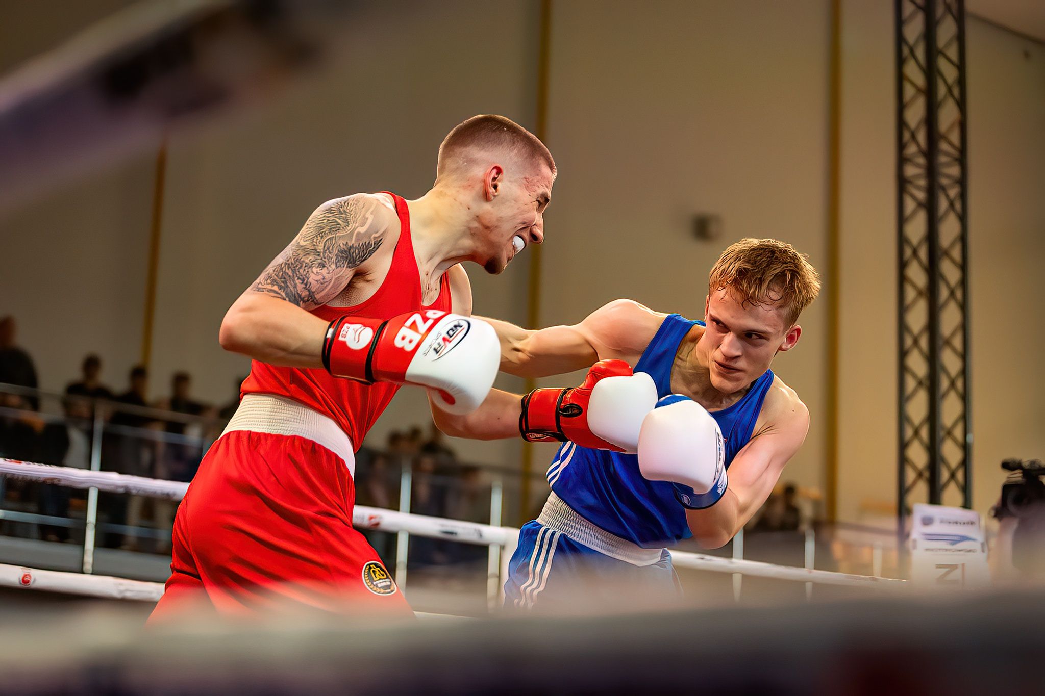 Pomorzanin Boxing Team - Concordia Knurów