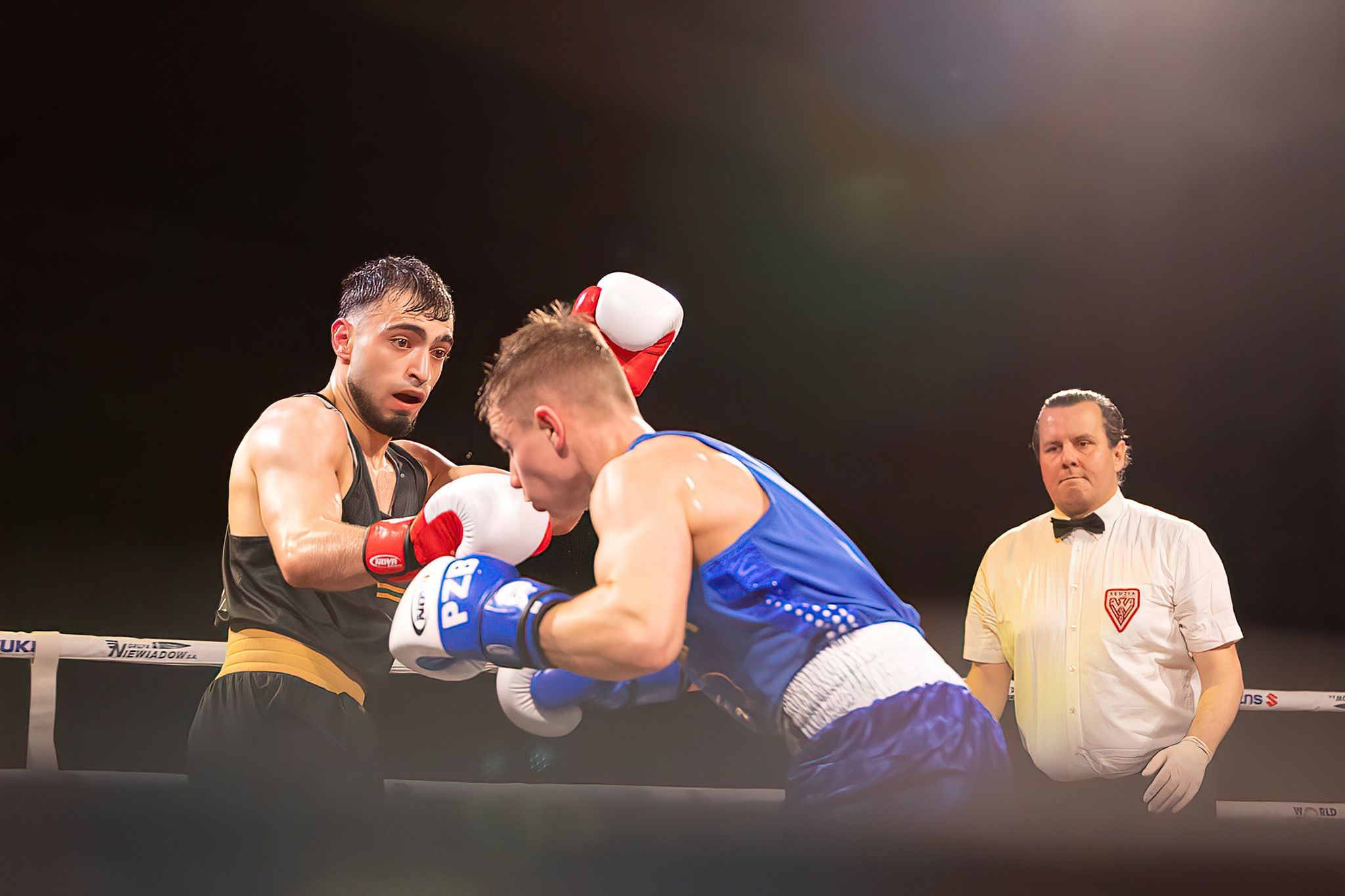 Polska Liga Boksu Pomorzanin Boxing Team - Imperium Wałbrzych