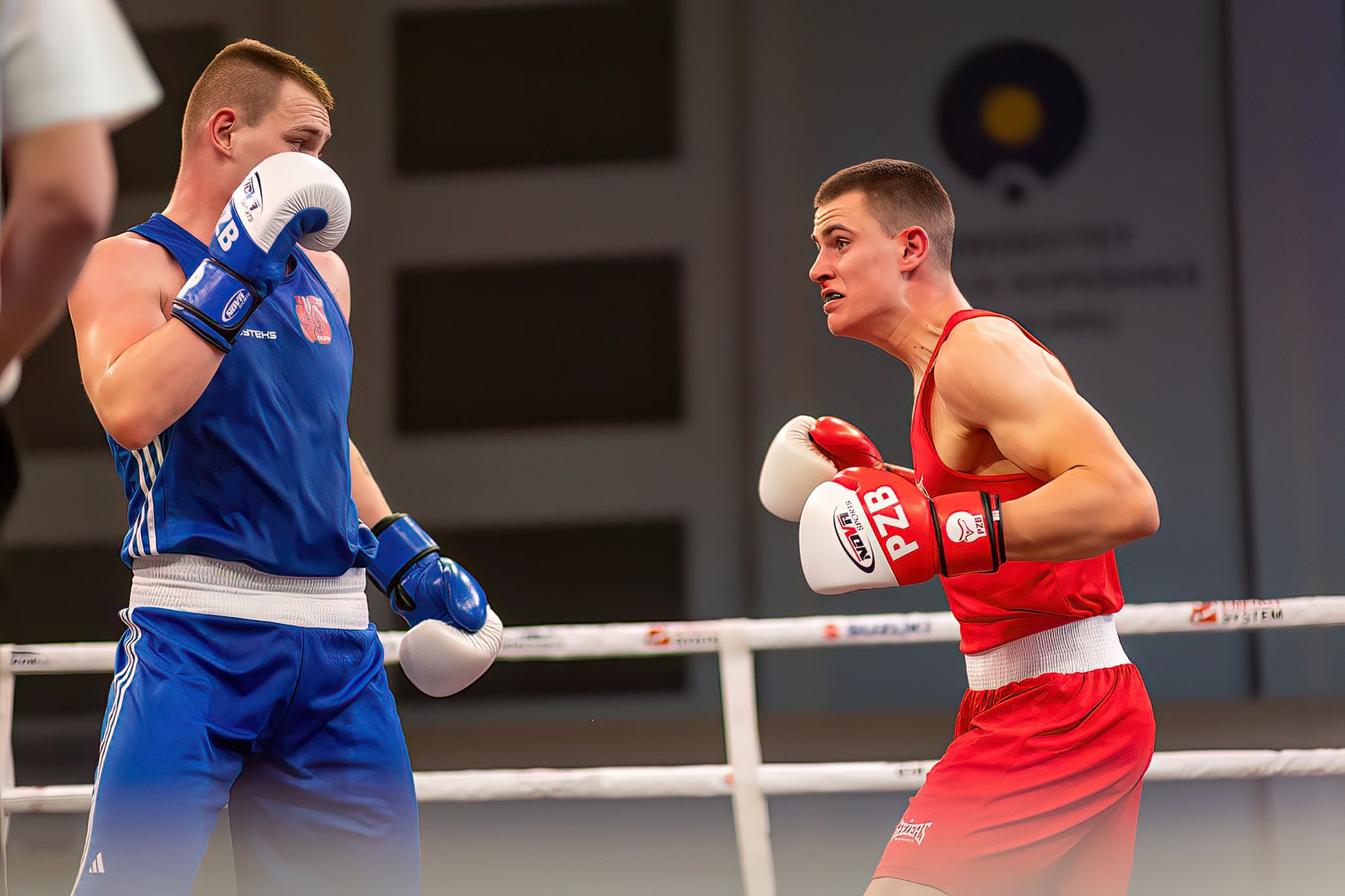 Pomorzanin Boxing Team - Concordia Knurów