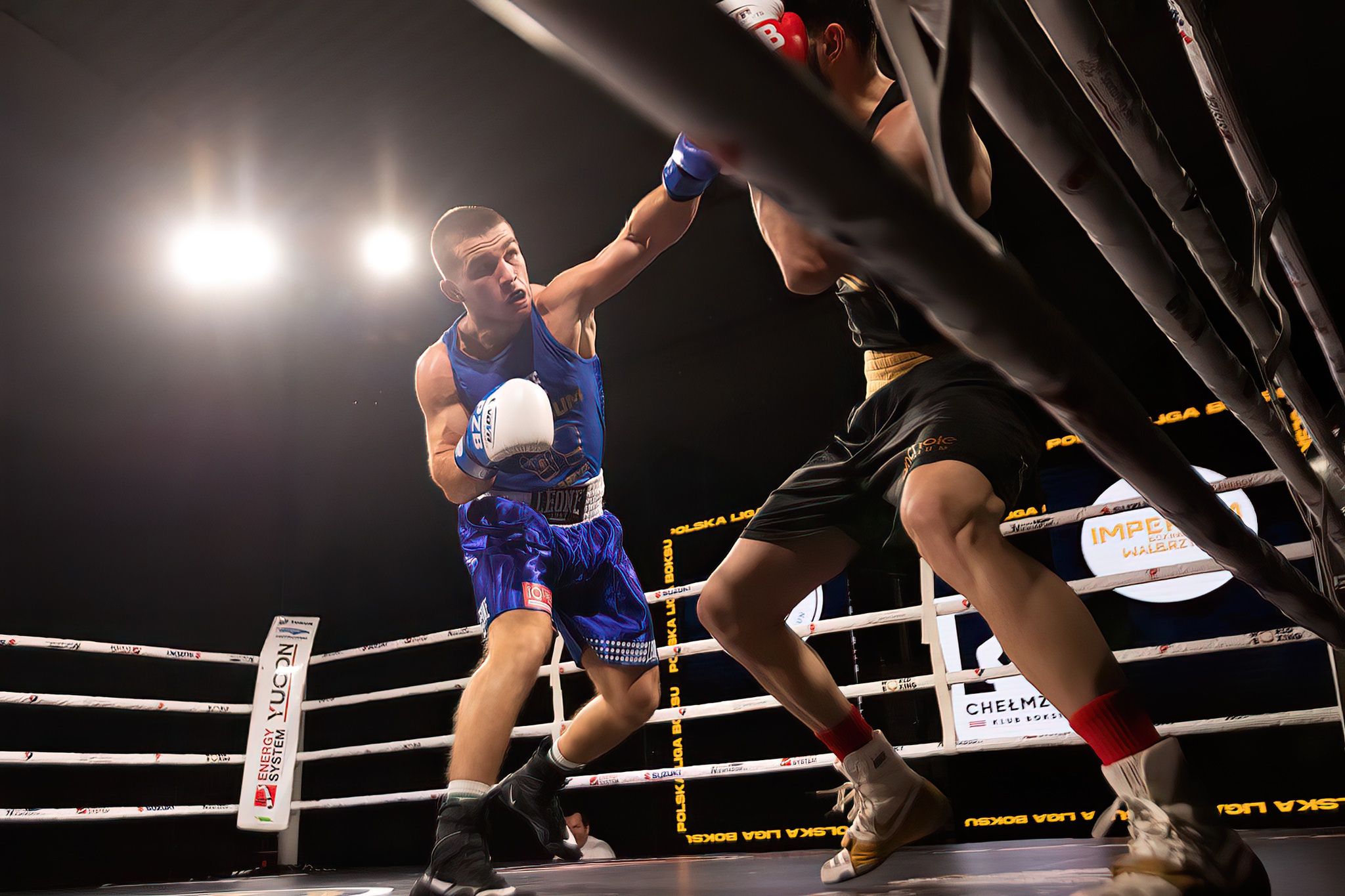 Polska Liga Boksu Pomorzanin Boxing Team - Imperium Wałbrzych