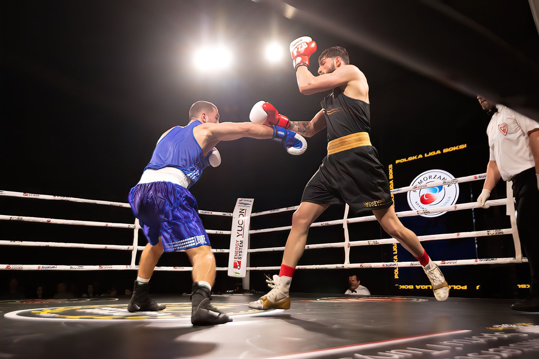 Polska Liga Boksu Pomorzanin Boxing Team - Imperium Wałbrzych