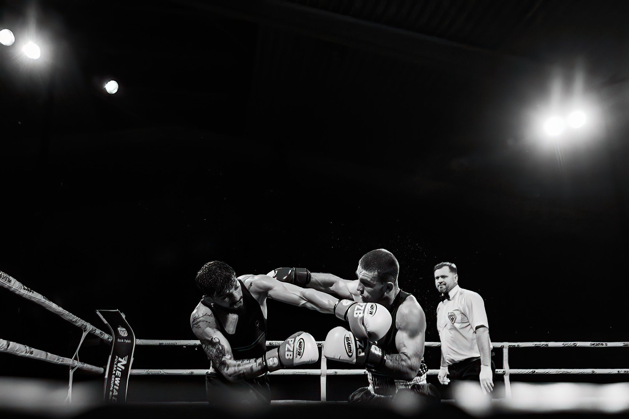 Polska Liga Boksu Pomorzanin Boxing Team - Imperium Wałbrzych
