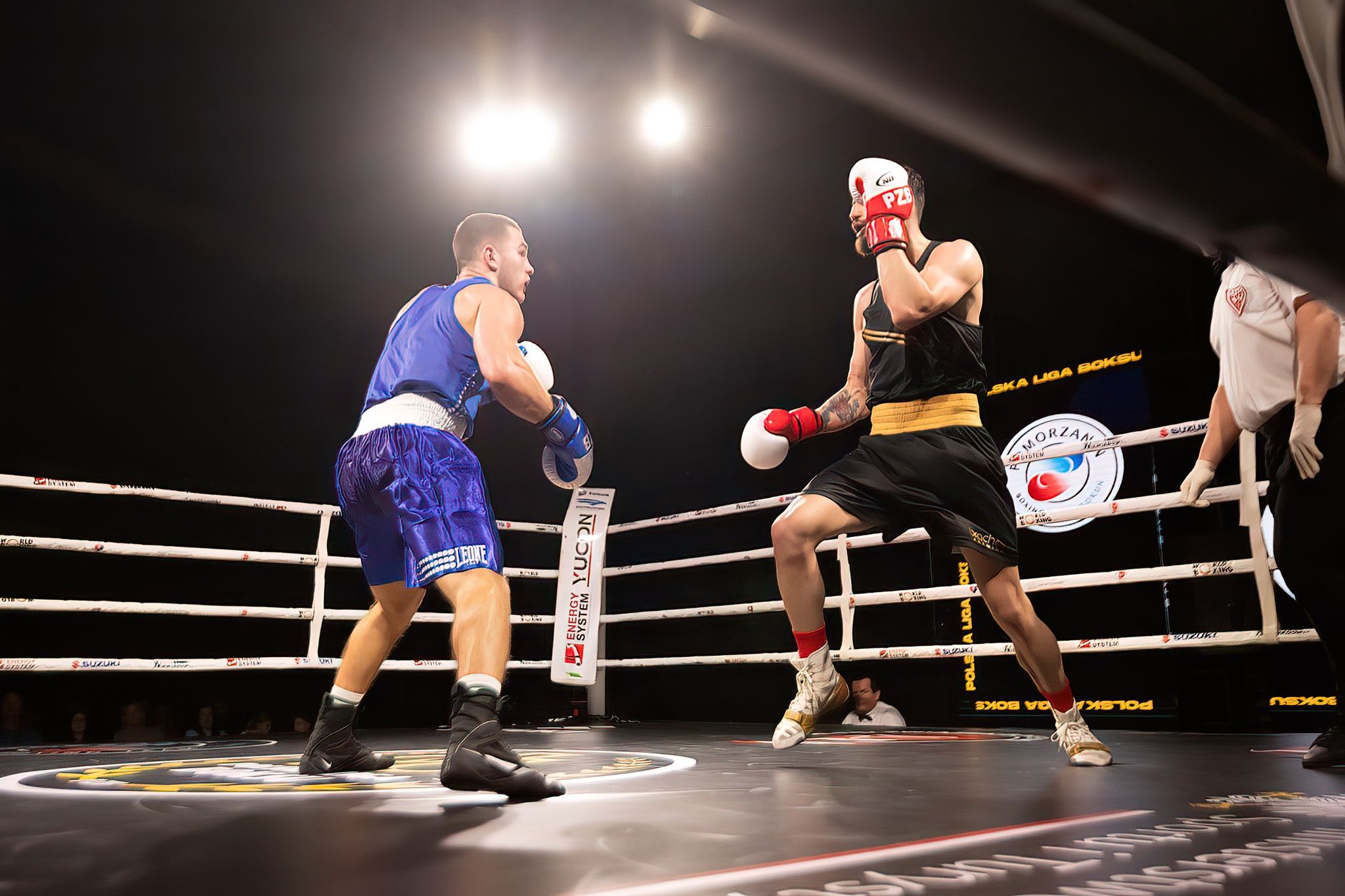 Polska Liga Boksu Pomorzanin Boxing Team - Imperium Wałbrzych