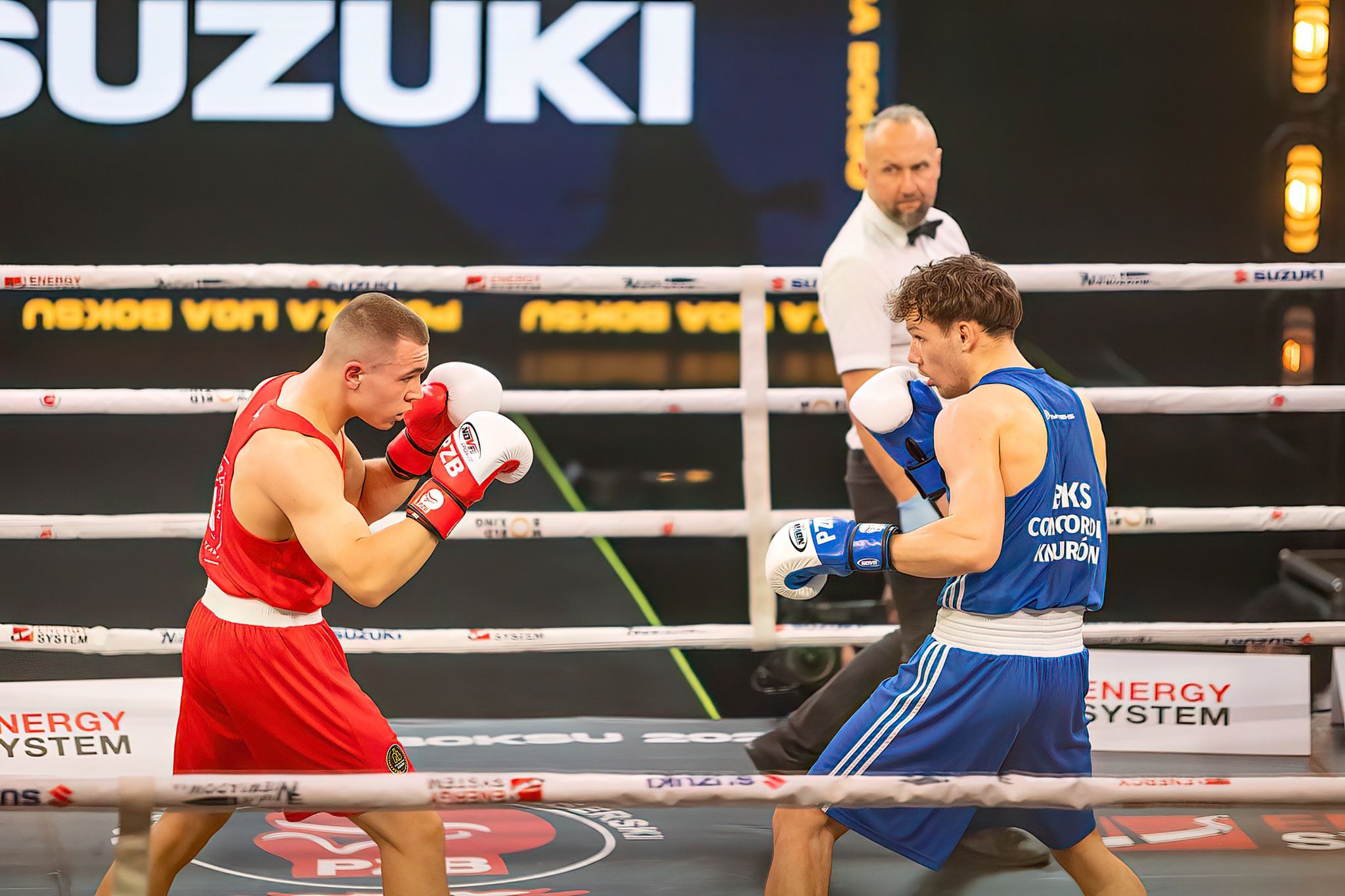 Pomorzanin Boxing Team - Concordia Knurów