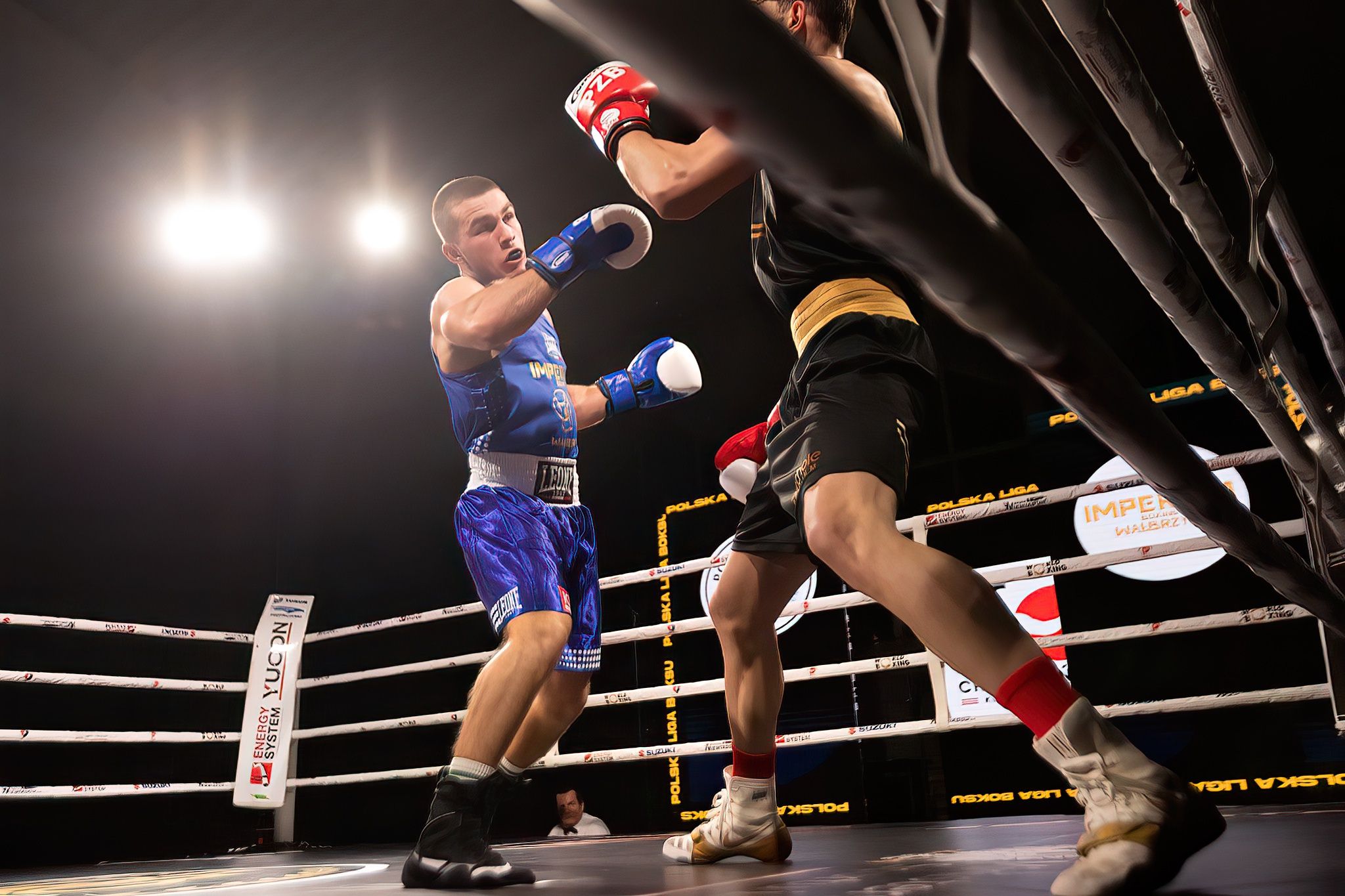 Polska Liga Boksu Pomorzanin Boxing Team - Imperium Wałbrzych