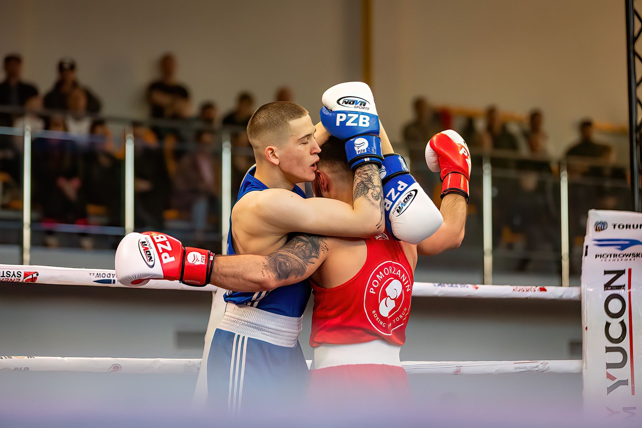 Pomorzanin Boxing Team - Concordia Knurów