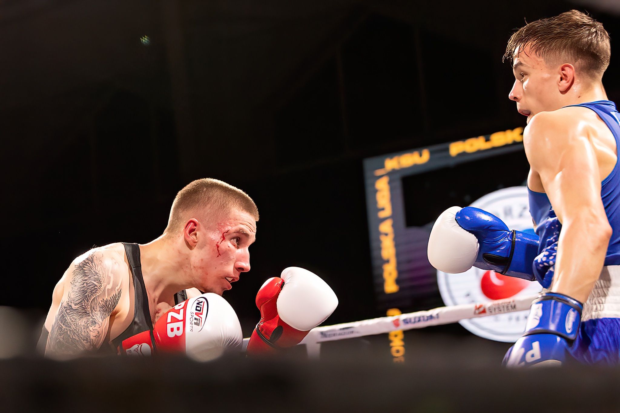 Polska Liga Boksu Pomorzanin Boxing Team - Imperium Wałbrzych