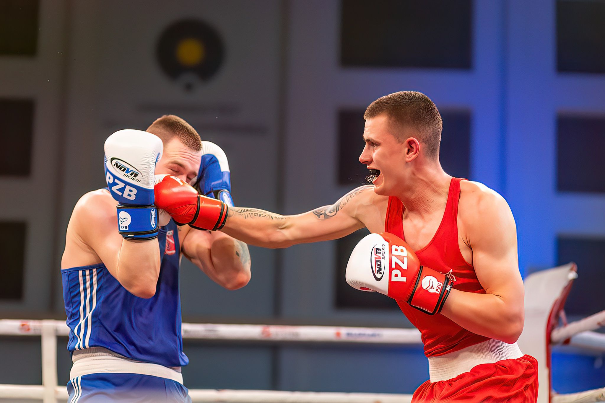 Pomorzanin Boxing Team - Concordia Knurów