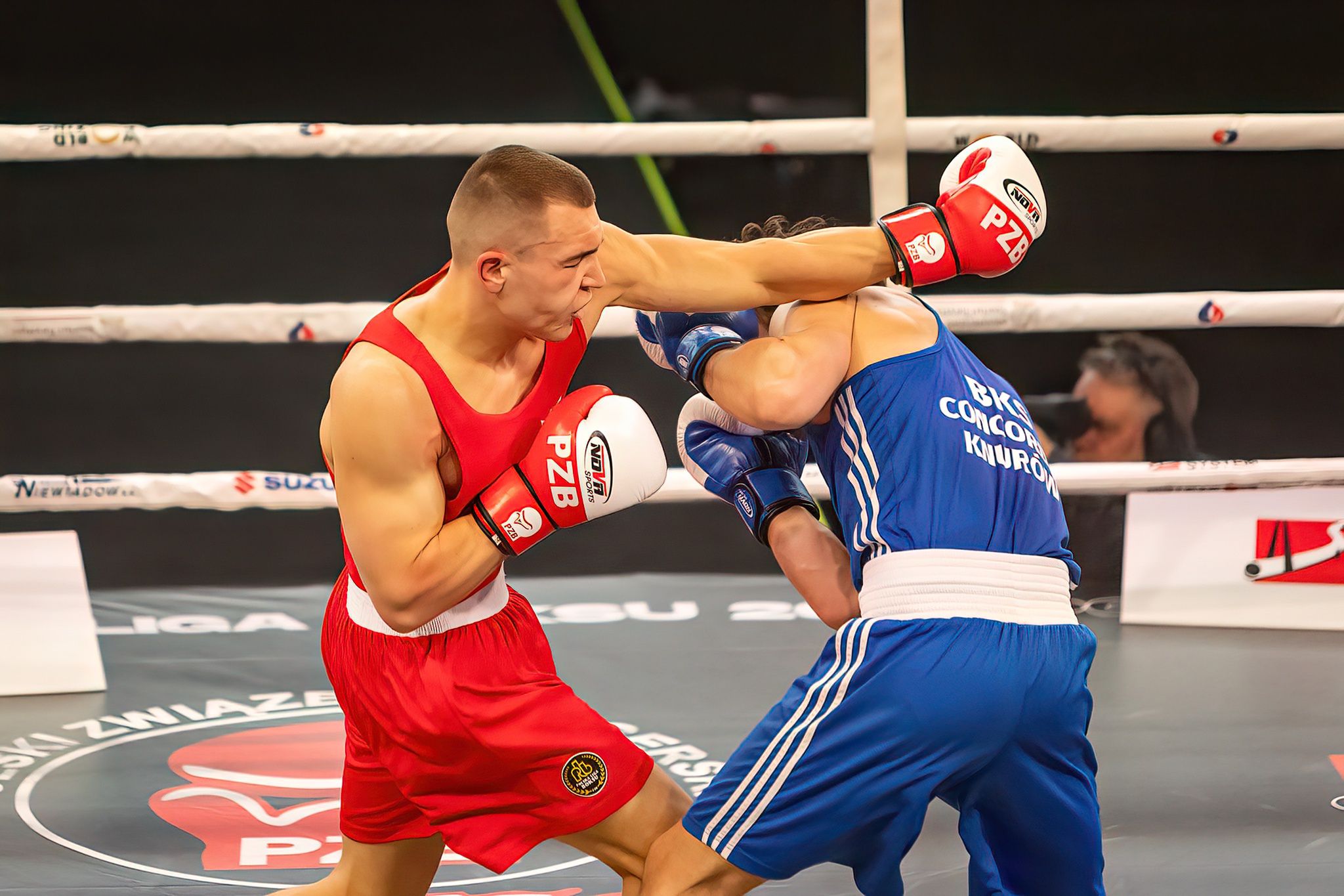 Pomorzanin Boxing Team - Concordia Knurów