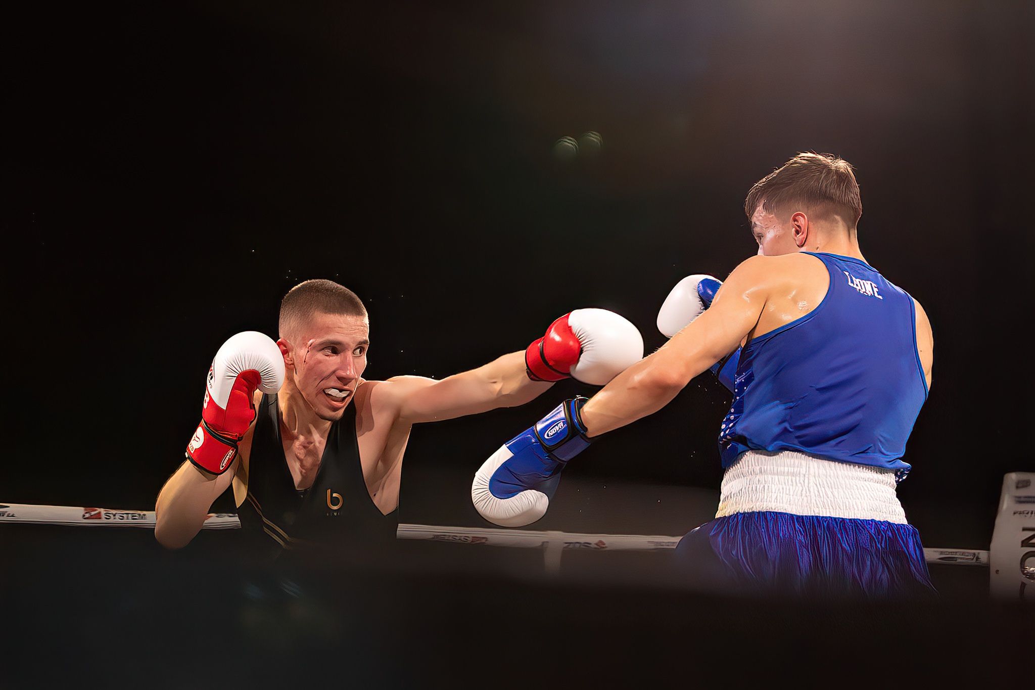 Polska Liga Boksu Pomorzanin Boxing Team - Imperium Wałbrzych