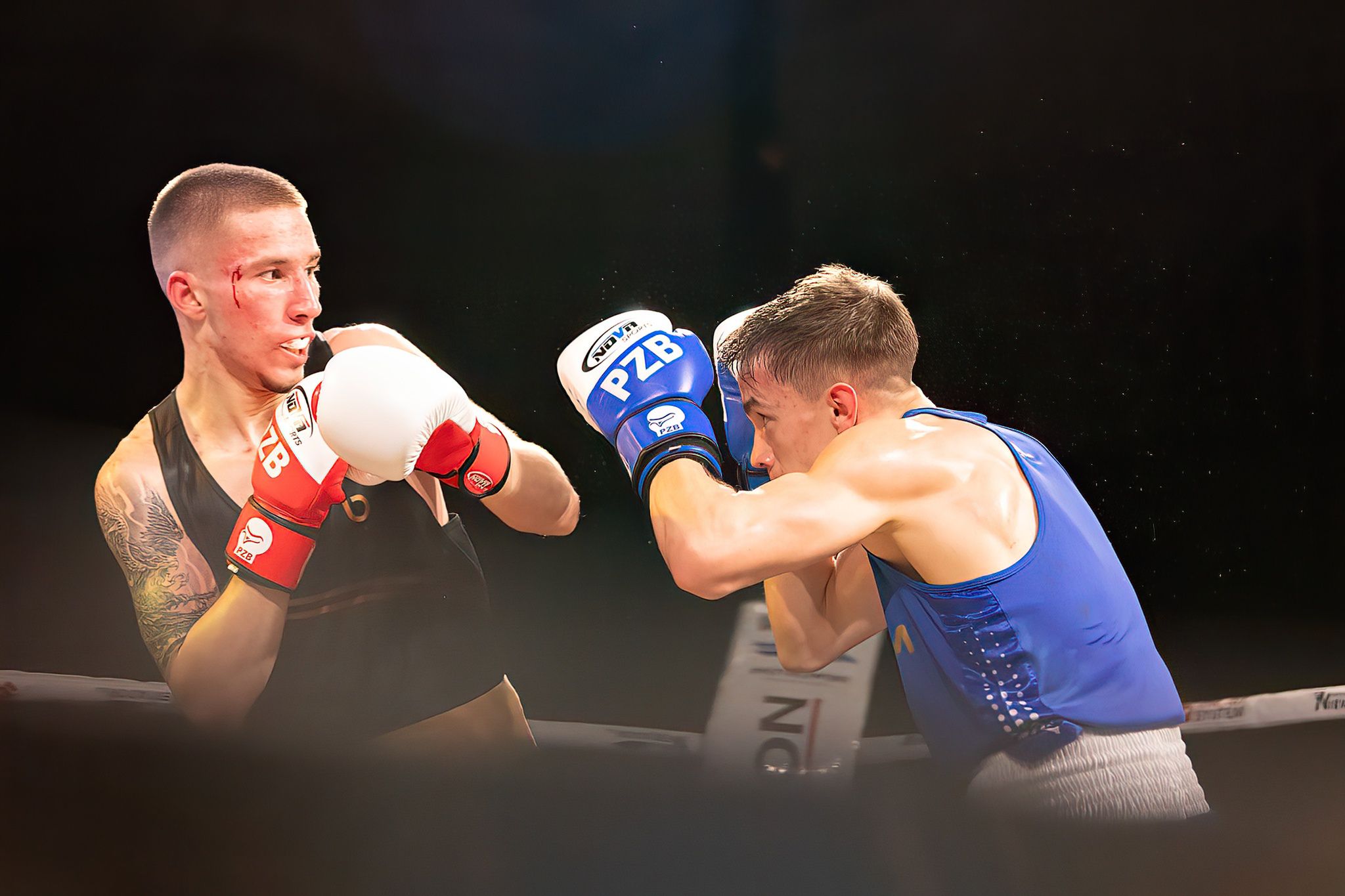 Polska Liga Boksu Pomorzanin Boxing Team - Imperium Wałbrzych