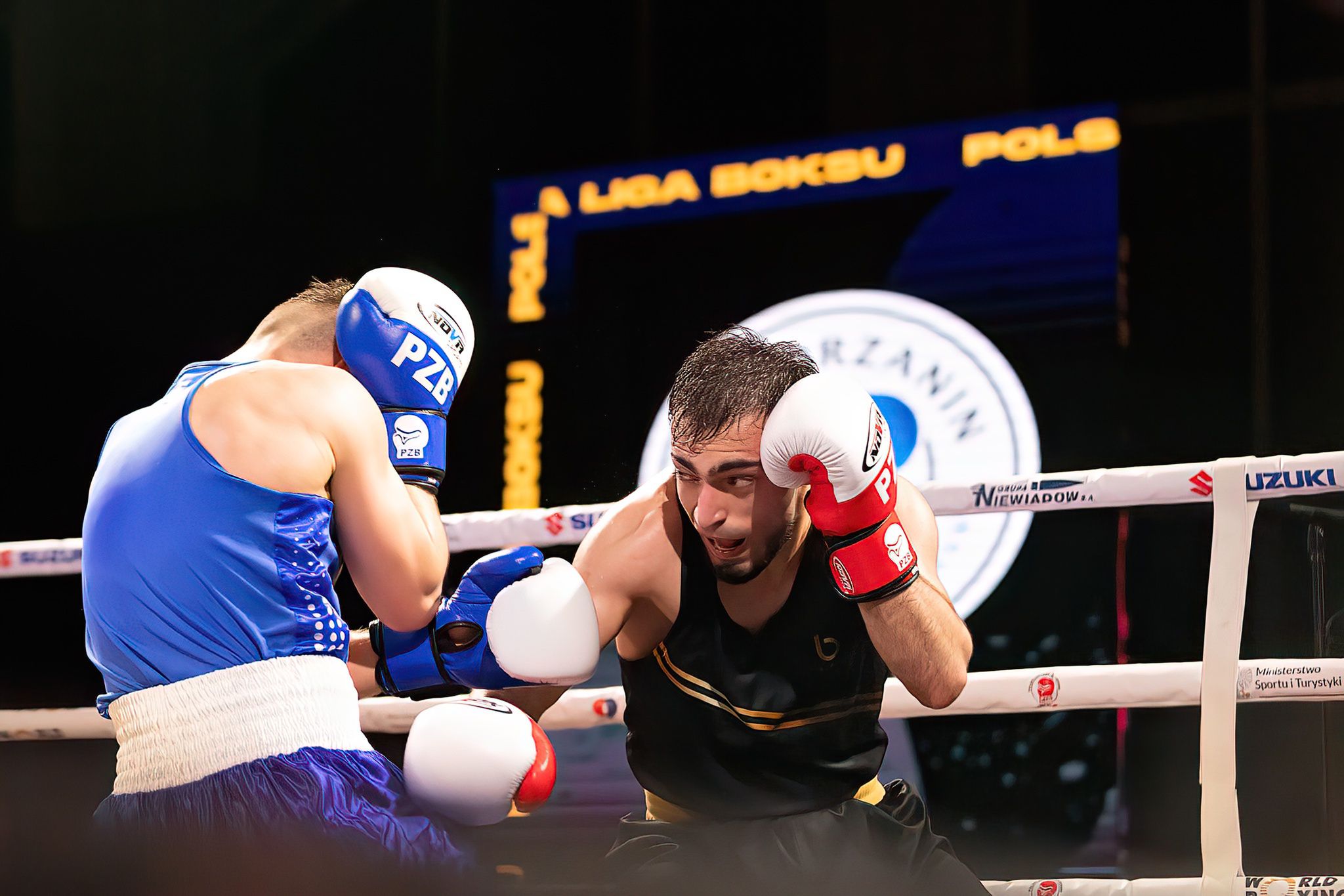 Polska Liga Boksu Pomorzanin Boxing Team - Imperium Wałbrzych