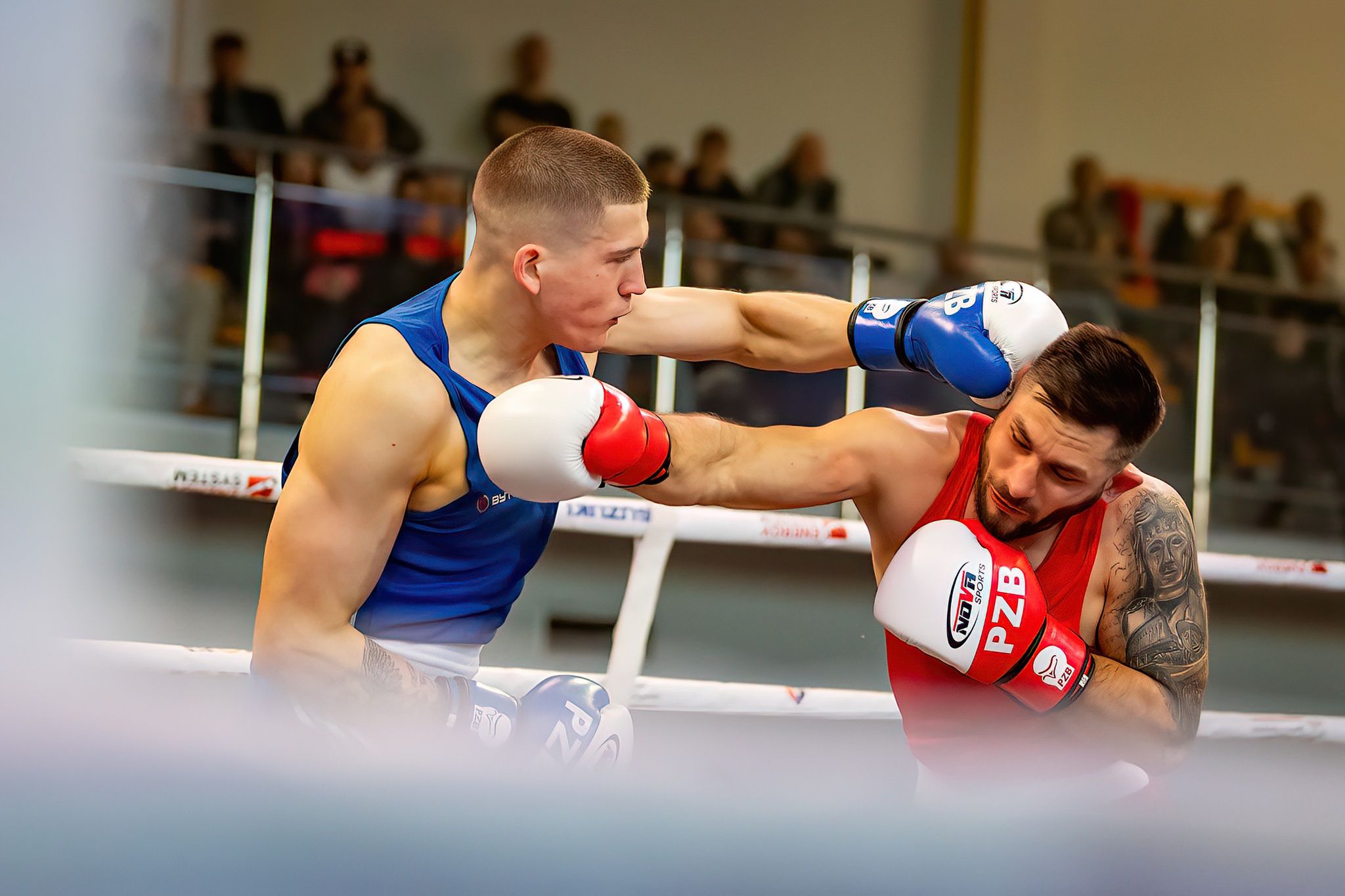 Pomorzanin Boxing Team - Concordia Knurów