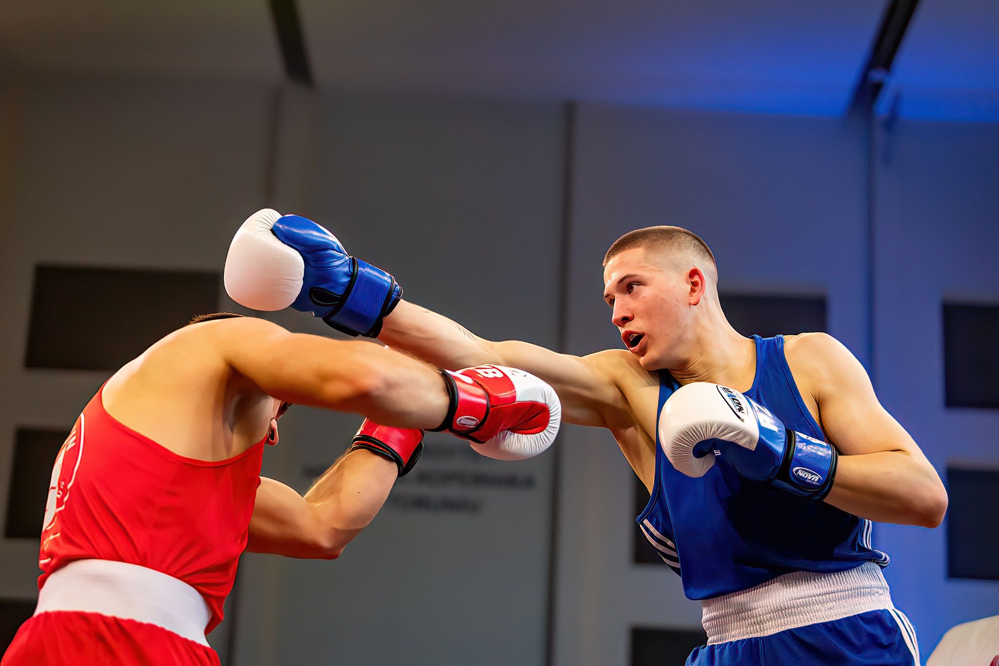 Pomorzanin Boxing Team - Concordia Knurów