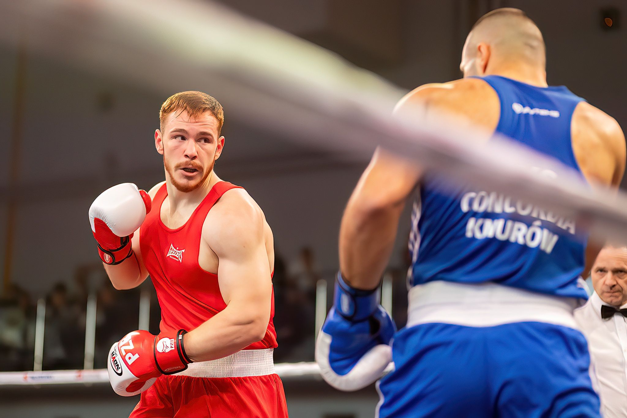 Pomorzanin Boxing Team - Concordia Knurów