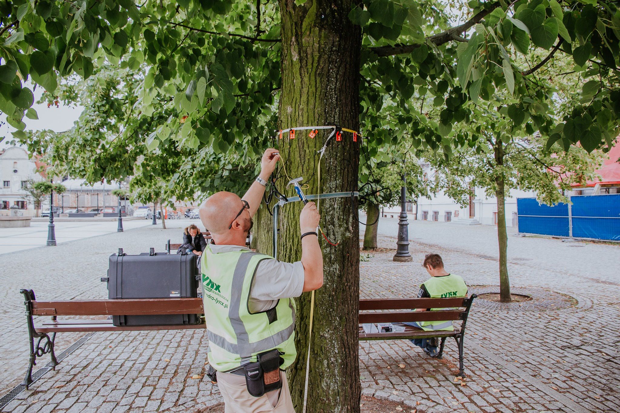 Zespol ds. Medialnych