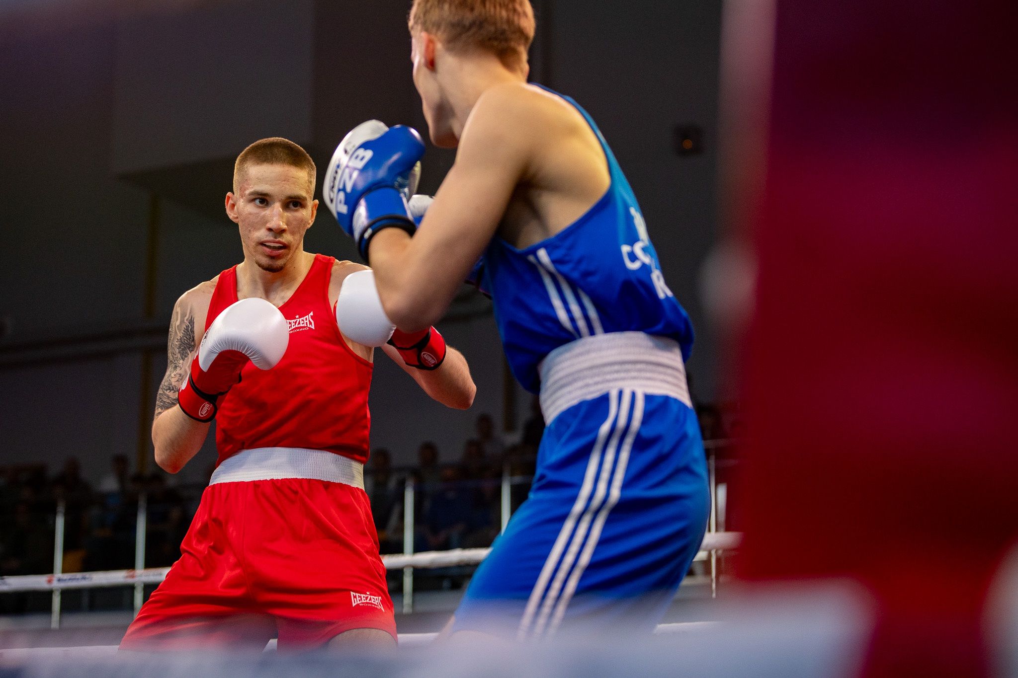 Pomorzanin Boxing Team - Concordia Knurów