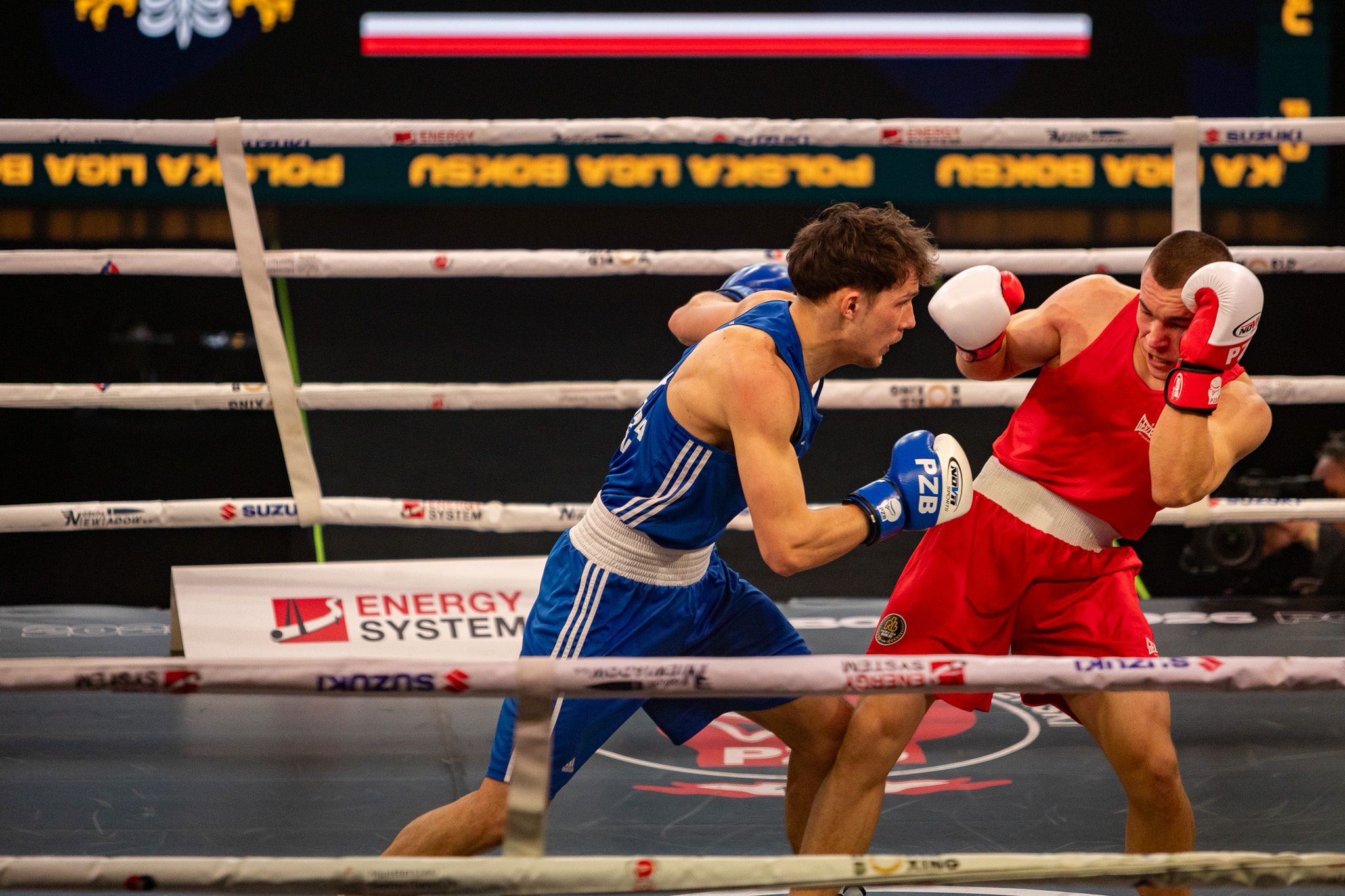 Pomorzanin Boxing Team - Concordia Knurów