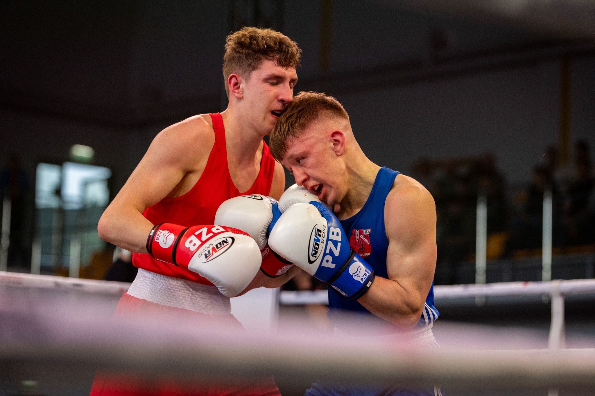 Pomorzanin Boxing Team - Concordia Knurów