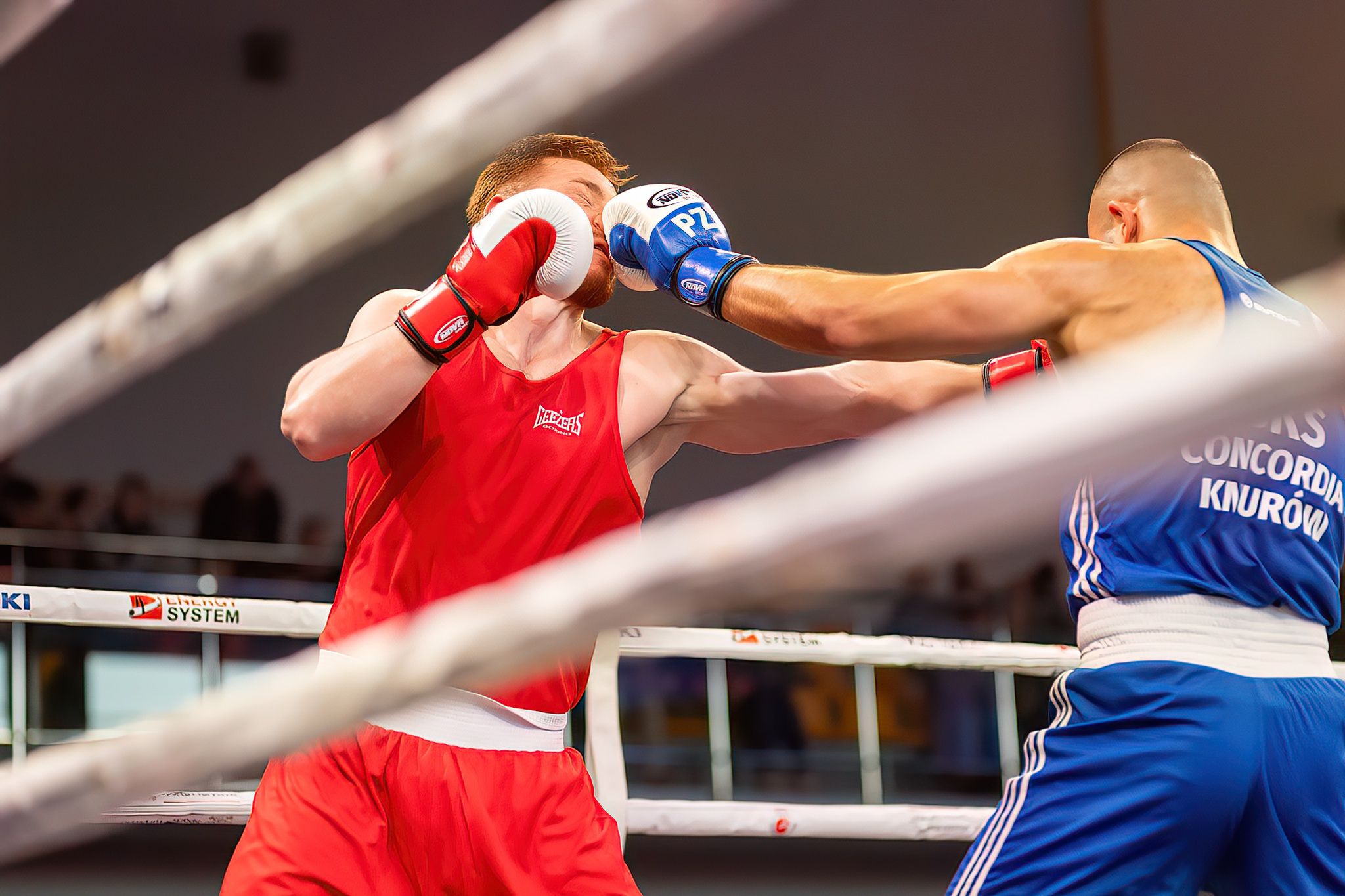 Pomorzanin Boxing Team - Concordia Knurów