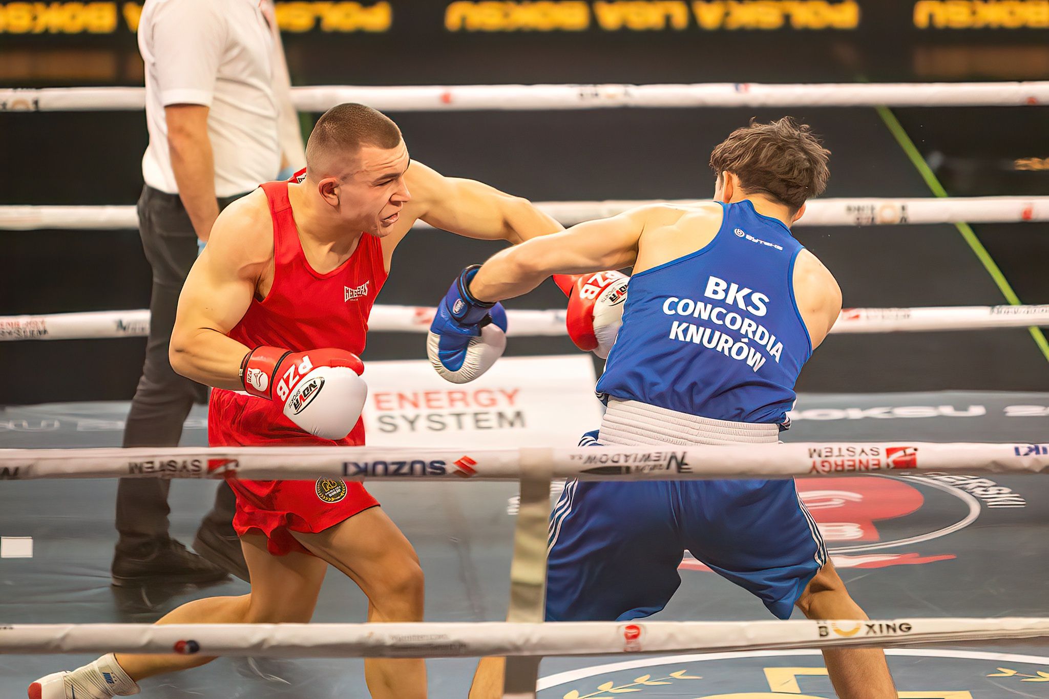 Pomorzanin Boxing Team - Concordia Knurów