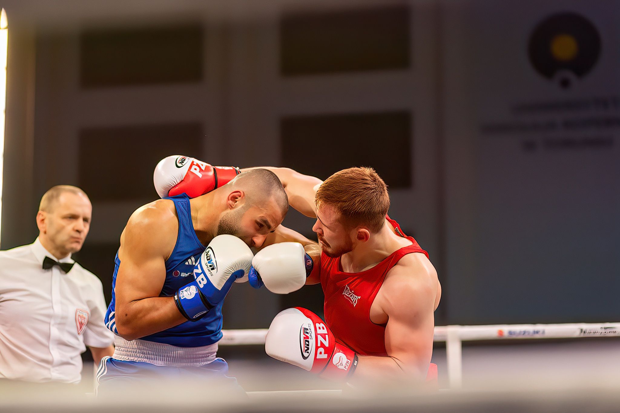Pomorzanin Boxing Team - Concordia Knurów