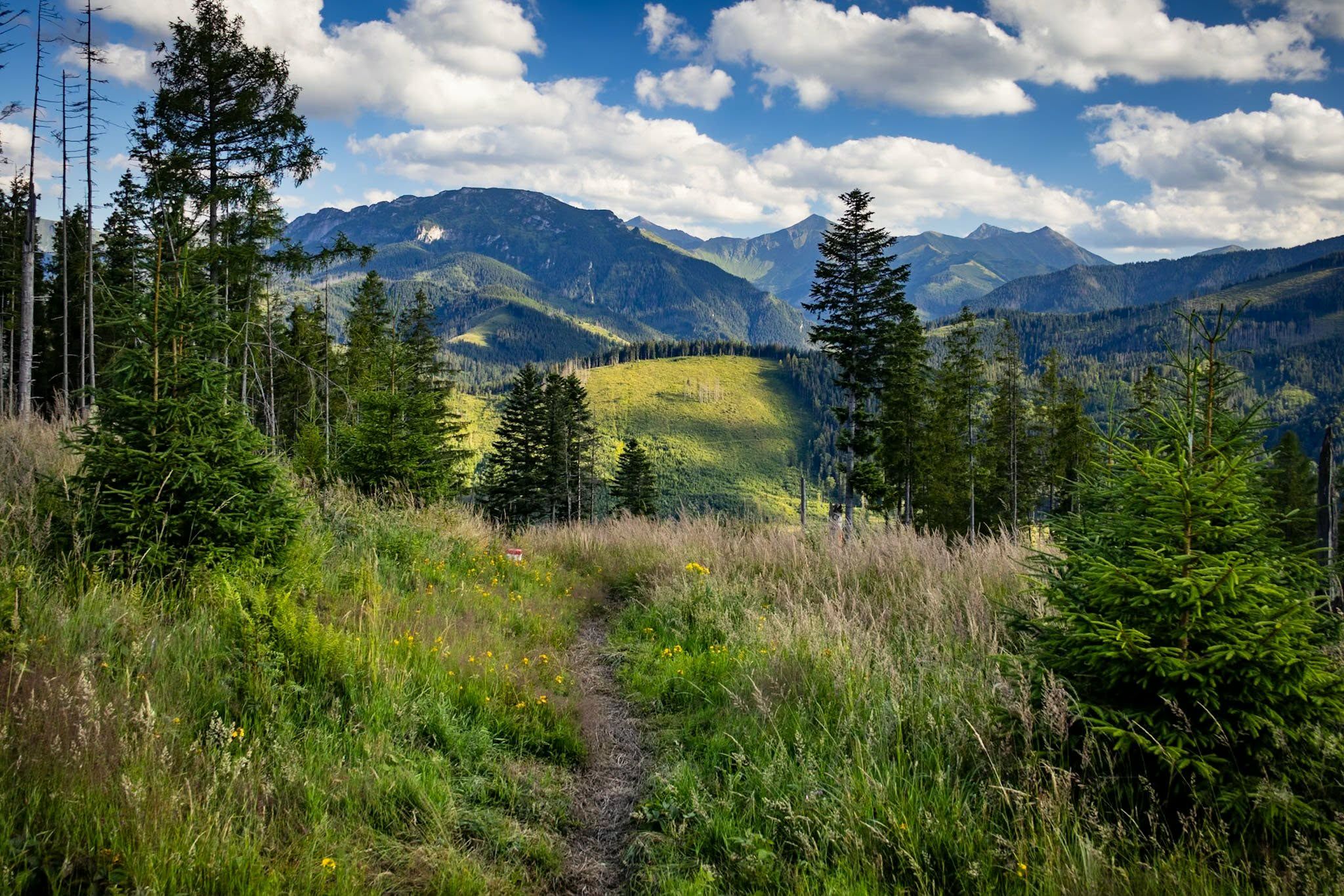 Spokój, przestrzeń i Tatry - widok z Magury Witowskiej