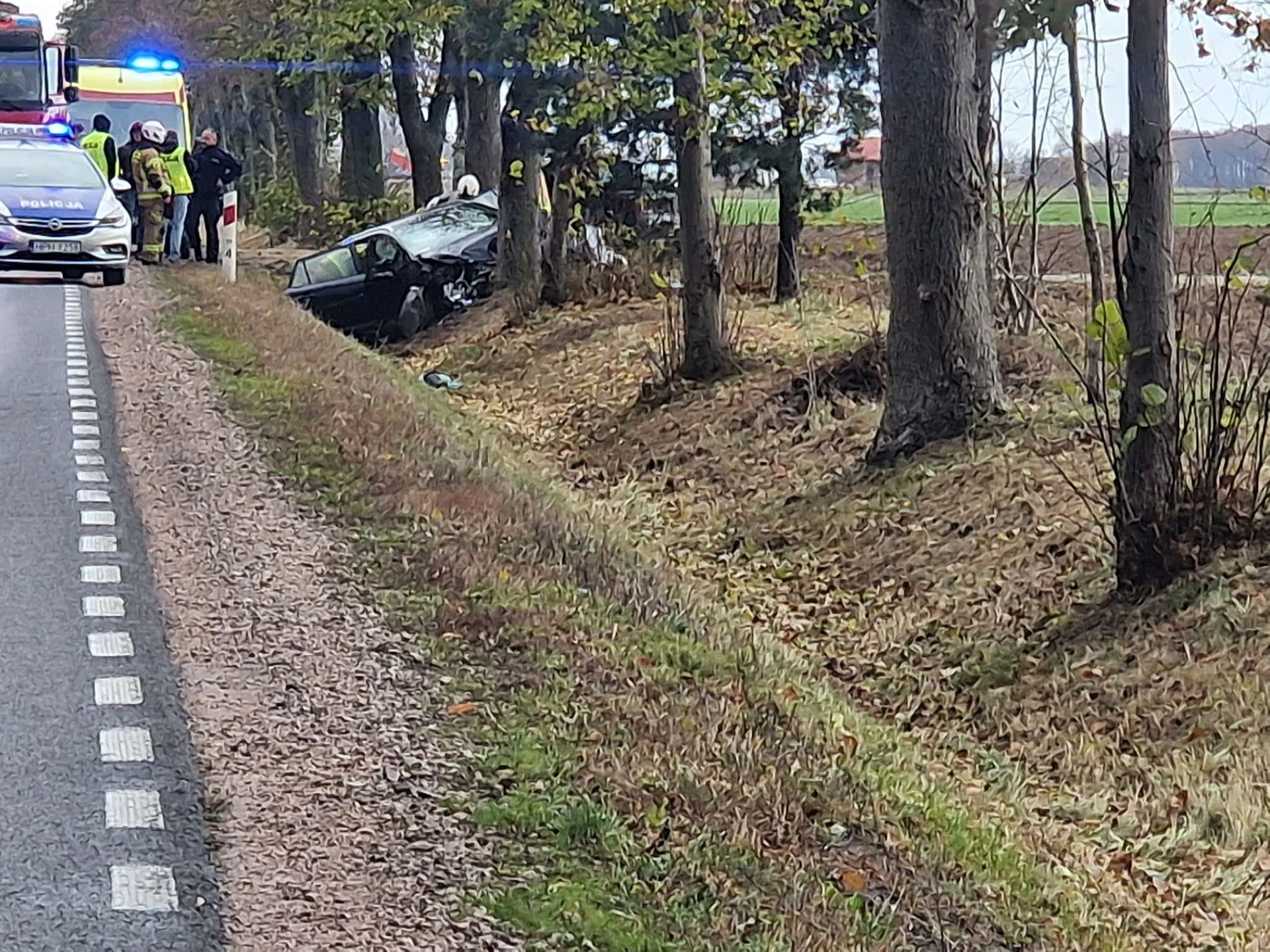 Zdarzenie drogowe w Brzechowie