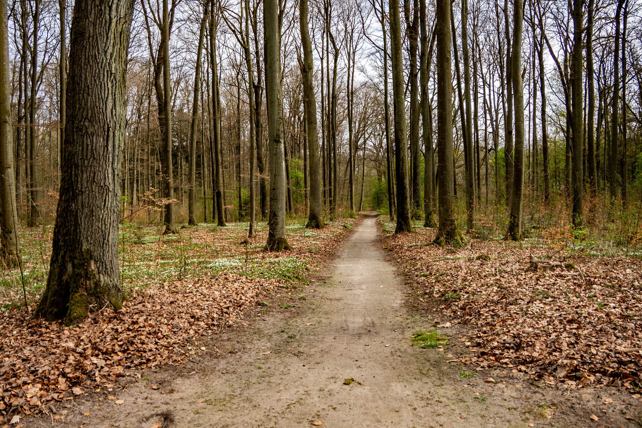 Park Zwierzyniec w Złotowie
