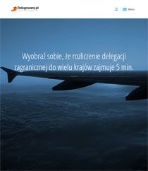 Raportowanie - Delegowany.pl