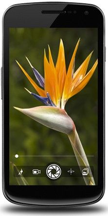 ubuntu phone os wygląd aplikacja galeria
