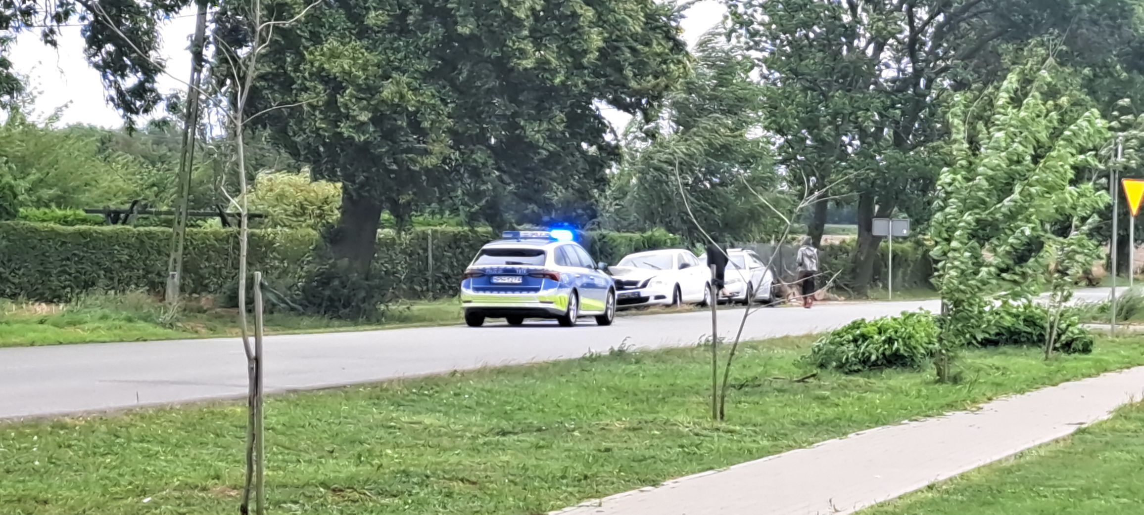 Konar drzewa spadł na auto