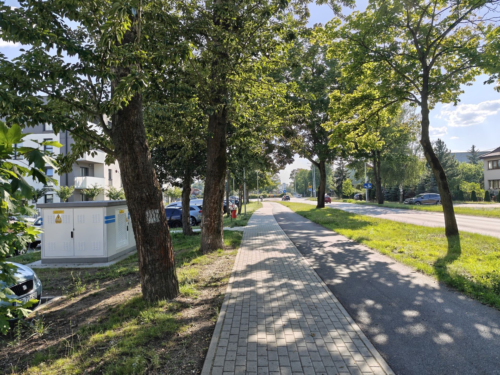 Obraz