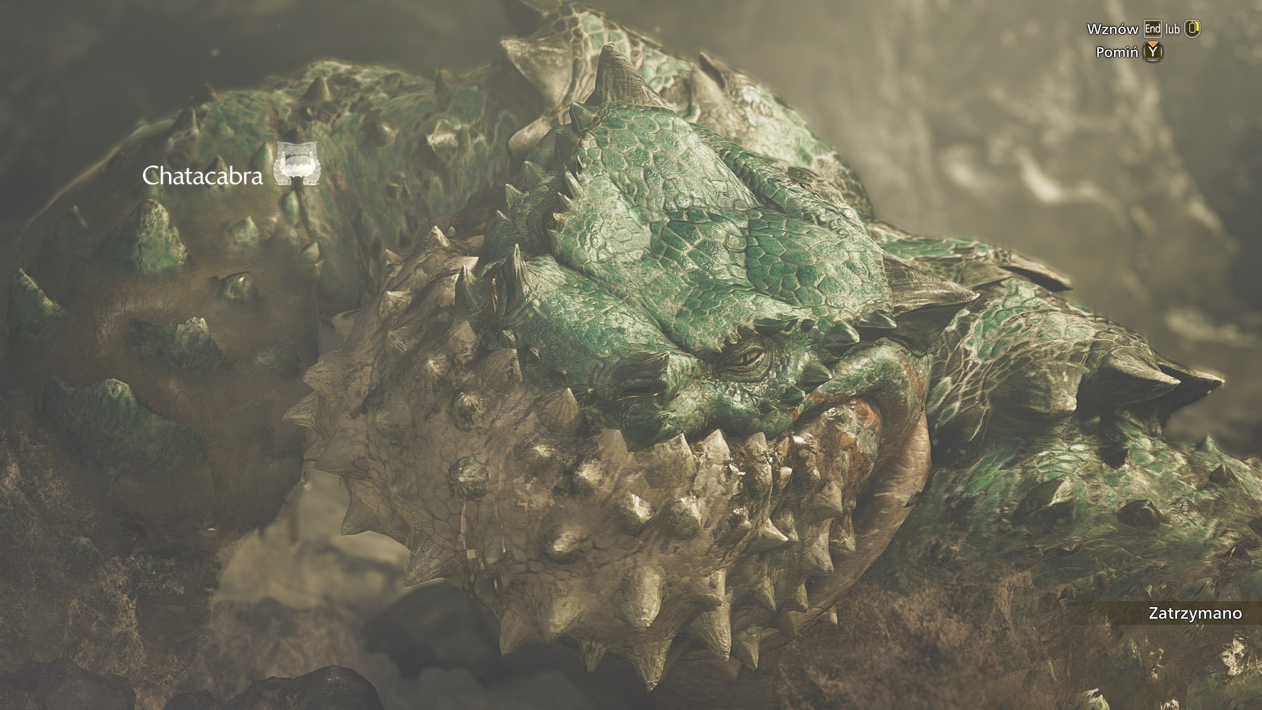 Monster Hunter Wilds