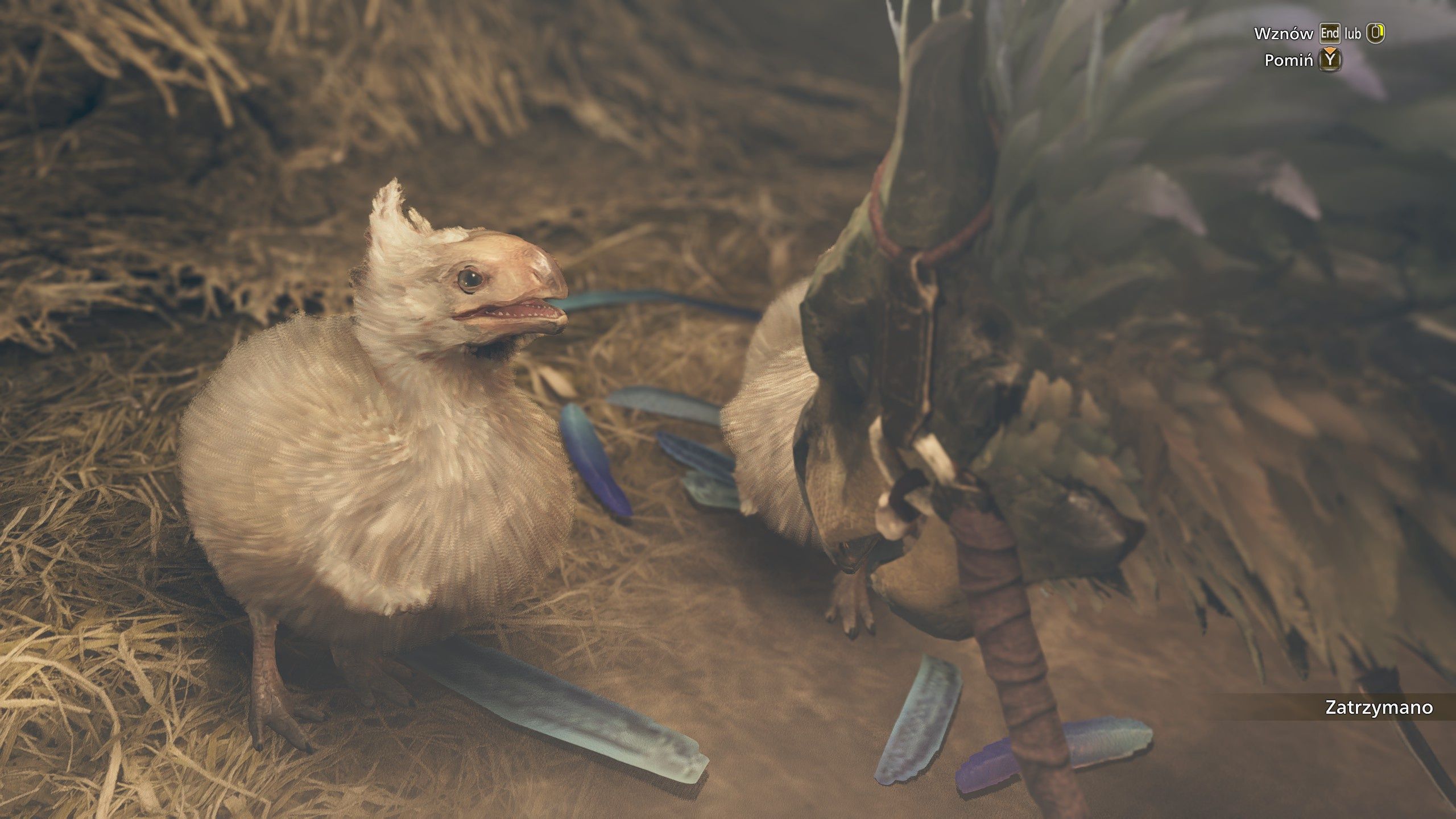 Monster Hunter Wilds
