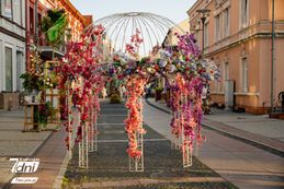 Festiwal Kwiatów, Czarnków