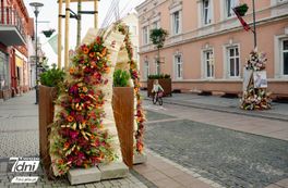 Festiwal Kwiatów, Czarnków