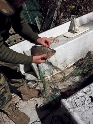 Nielegalny połów ryb 