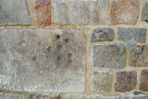 Czarcia łapa w Tumie pod Łęczycą. Fot. Grzegorz Bednarek