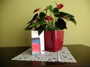 TP-Link Neffos Y5 aparat przedni