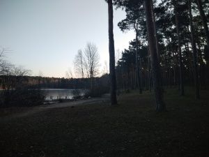 Wiko View przykładowe zdjęcie aparat główny